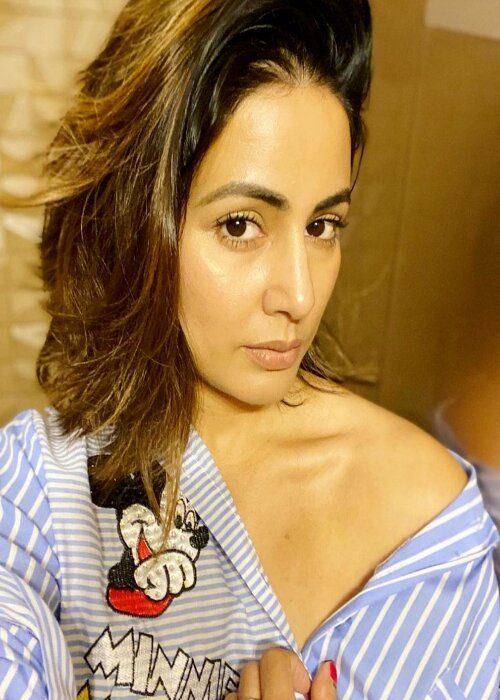 Hina Khan shared the latest look of the pictures