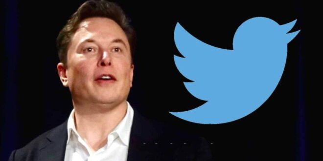 Twitter चीफ का एक और ऐलान, नकली अकाउंट बनाने वालों का खाता निलंबित करने की Musk ने दी धमकी